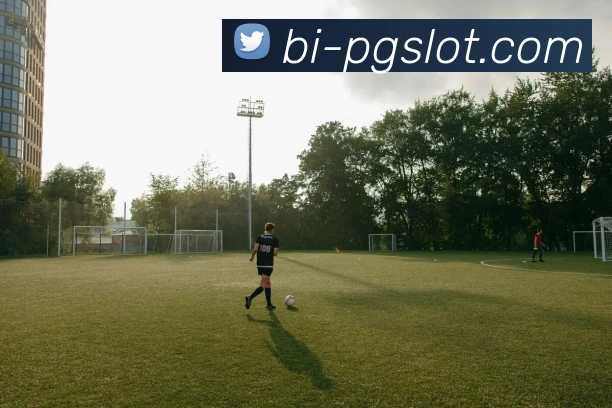 麻将胡了PG官网APP 体育赛事宣传图