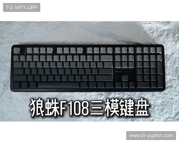 性价比高的狼蛛有线键盘推荐适合游戏玩家使用的最佳选择